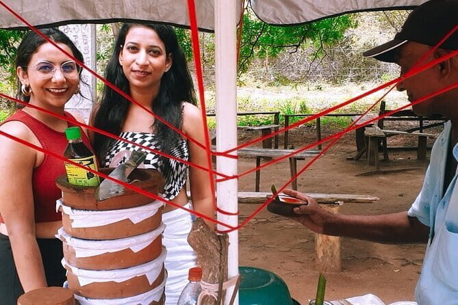 Visit Around Ella with diyaluma falls - Practical Details and What to Expect