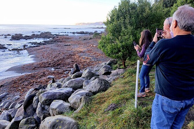 Visit Kaikura from Christchurch (small group Tour) - Authentic Experiences and Genuine Value