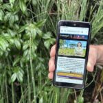 Visit Pointe-à-Pitre with a fun and fun track game! - What Makes This Tour Stand Out