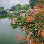 Visit Thay Pagoda Duong Lam Ancient Village Hanoi Private Tour - What Makes This Tour Stand Out?