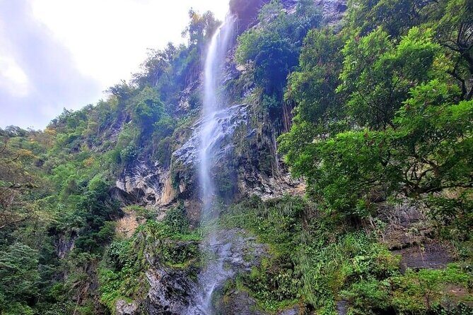 Visit Trinidads highest waterfall - Who Will Love This Tour?