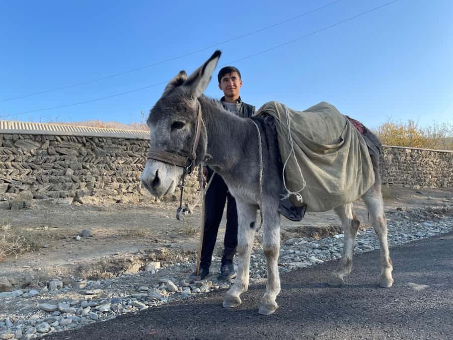 Visit Ukhum (Nourata Mountains), petroglyphs, and a donkey ride (3 days) - A Deep Dive into the 3-Day Itinerary