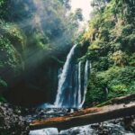 Visit Waterfalls and Traditional Villages Tickets Included - An In-Depth Look at the Waterfalls and Village Tour