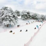 Vivaldi Park Winter Ski with Eobi Ice Valley Day Tour from Seoul - What Travelers Say About This Tour