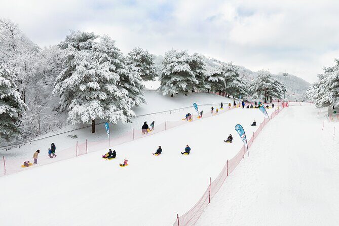 Vivaldi Park Winter Ski with Eobi Ice Valley Day Tour from Seoul - What Travelers Say About This Tour