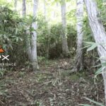 Volcano Hike with Pacific and Kuttara Lake Views - Practical Details and Value