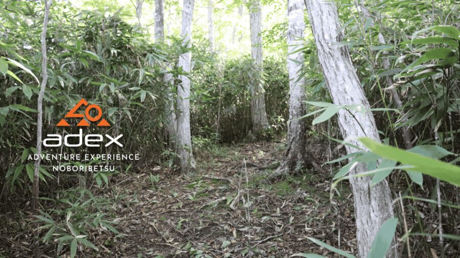 Volcano Hike with Pacific and Kuttara Lake Views - Practical Details and Value