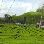 Volcano Mountain Private Car Tour White Crater Bandung - Cost and Value Analysis