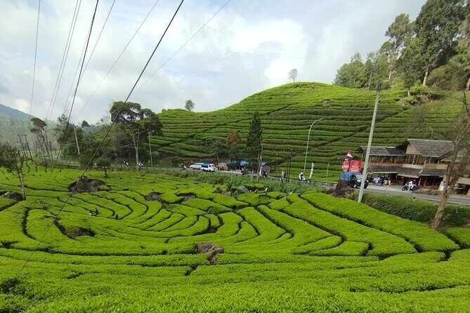Volcano Mountain Private Car Tour White Crater Bandung - Cost and Value Analysis