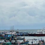 Vung Tau City Sightseeing Shore Excursion Tour From Phu My Port - What’s Included and What’s Not