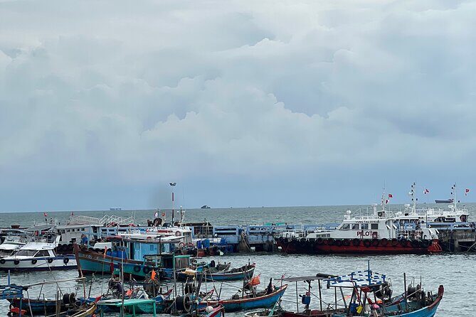 Vung Tau City Sightseeing Shore Excursion Tour From Phu My Port - What’s Included and What’s Not