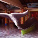 Vung Tau Discovery Private Coastal Journey from Phu My Port - Full Review: The Vung Tau Discovery Private Coastal Journey