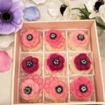 Wagashi Workshop: Japanese Sweets Ohagi with Anko Flowers - Whats Included and Whats Not