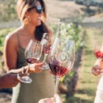 Waiheke Island: Afternoon Wine Tour with Oceanfront Lunch - Exploring the Tour Itinerary in Detail