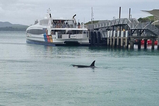 Waiheke Island Private Tours - FAQs