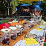 Waiheke Island: Sip and Savor 3 Vineyards Tour with Lunch - The Day’s Itinerary: What to Expect
