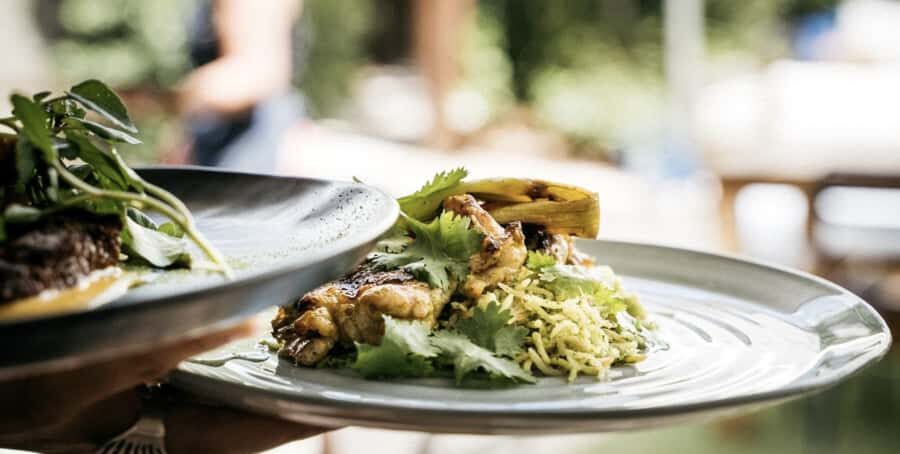 Waiheke Island: Wine Tour & Lunch at Award Winning Venue - An All-Inclusive Day of Wine, Views, and Relaxation