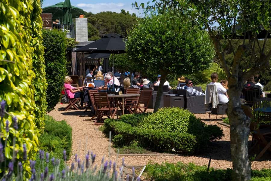 Waiheke Island Wine Tours - PREMIUM Wines - Max 11 clients ! - The Experience: What to Expect on a Waiheke Island Wine Tour