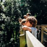 Waikato: Ancient Forest Guided Tour - Exploring Sanctuary Mountain Maungatautari