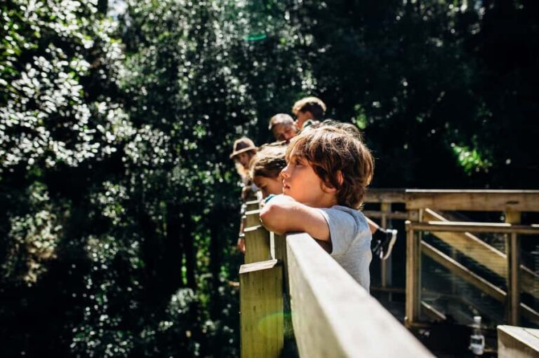 Waikato: Ancient Forest Guided Tour - Exploring Sanctuary Mountain Maungatautari