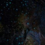 Waiomio Kawiti Glowworm Cave & Ngawha Hot Springs day tour - Practical Details and What to Expect