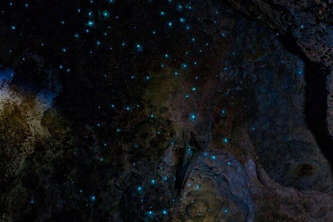 Waiomio Kawiti Glowworm Cave & Ngawha Hot Springs day tour - Practical Details and What to Expect