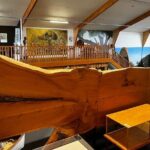 WAIPOUA FOREST Tane Mahuta & KAURI MUSEUM Day Tour from Auckland - The Itinerary in Detail
