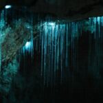 Waipu Milkyway Cave and East Coast Day Tour from Auckland - Practical Details and What to Expect