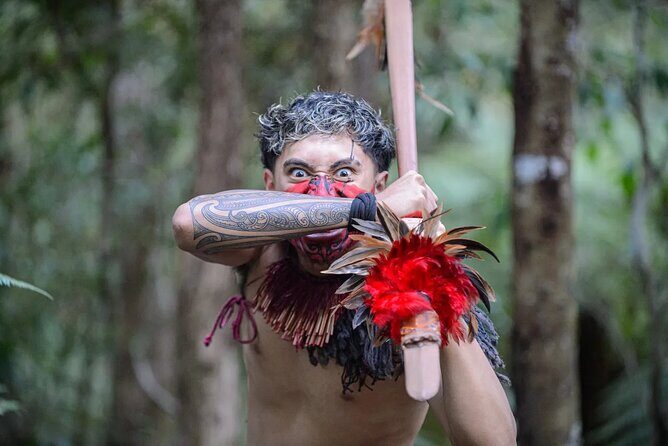 Waitangi Treaty Grounds Tour from Auckland - Is This Tour Worth the Price?