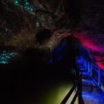 Waitomo Glowworm Caves and Kiwi House Small Group from Auckland - Practical Details and What to Expect
