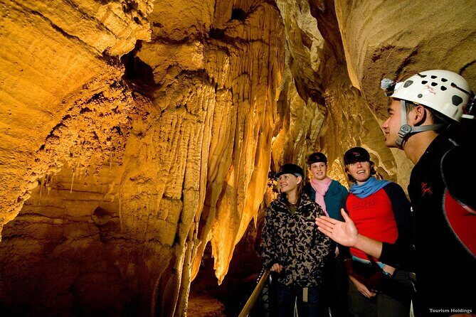 WAITOMO - Twin Caves Discovery - Private Day Tour from Auckland - Price and Value