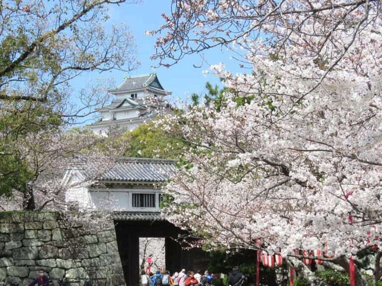 Wakayama: Authentic Samurai Lord Dining Experience - Why This Tour Is Worth Considering