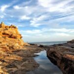 Wakayama: Day Trip to Shirahama Beach & Kuroshio Market - Practical Details and Value