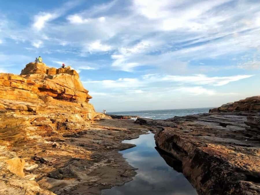 Wakayama: Day Trip to Shirahama Beach & Kuroshio Market - Practical Details and Value