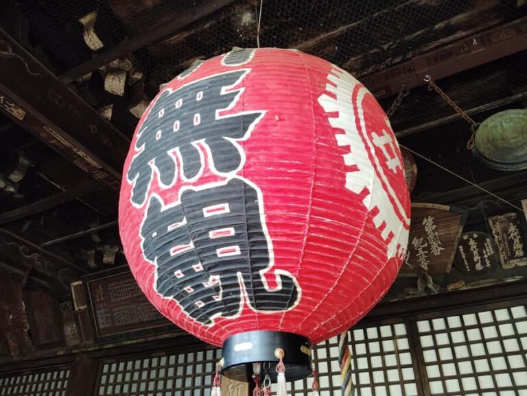 Wakayama: Discover the Sacred Beauty of Kimiidera - Who This Tour is Perfect For