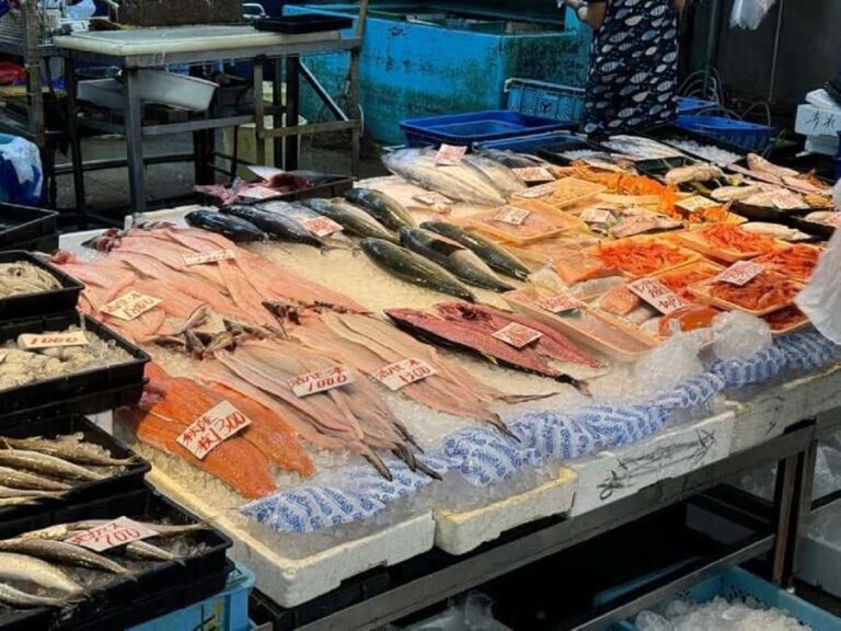 Wakayama: Explore Japans Seafood Culture at Kuroshio Market - An in-depth look at Wakayama’s Kuroshio Market Experience