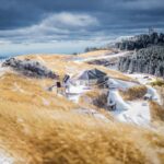 Wakayama: Hidden Coastal Nature & Sunset Tour From Osaka - Exploring Wakayama: What to Expect