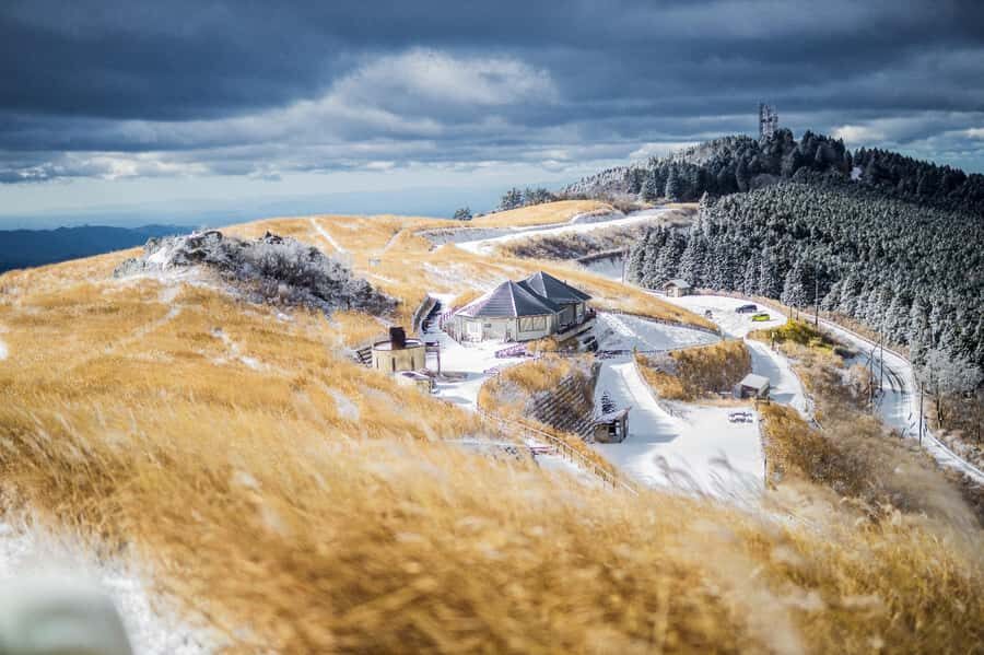 Wakayama: Hidden Coastal Nature & Sunset Tour From Osaka - Exploring Wakayama: What to Expect