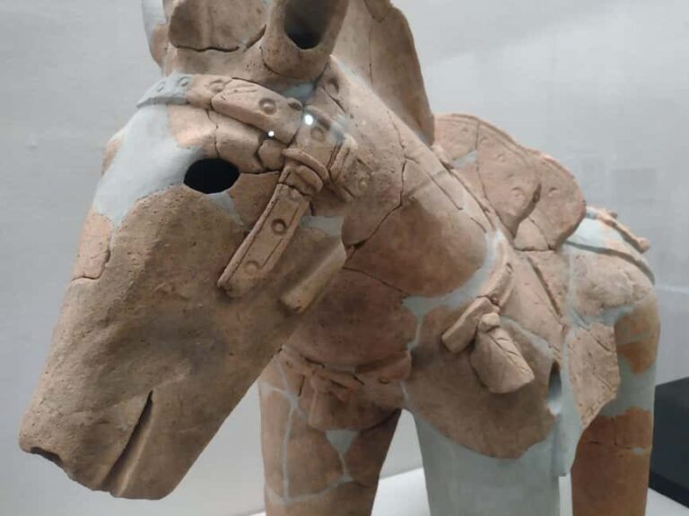 Wakayama: Iwase-Senzuka Ancient Tomb Cluster Tour - Who Will Love This Tour?