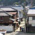 Wakayama: Kada Cycling Tour with Medetai Train Ride - Visiting Awashima Shrine: A Quirky Cultural Stop