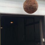 Wakayama: Kainan Plum Liqueur Factory and Historical Spots - Visiting Fujishiro Shrine: A Tranquil Sacred Site