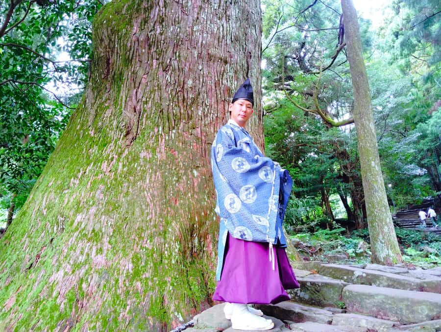 Wakayama: Kumano Kodo Sacred Walk to Nachi in Heian Attire - Final Thoughts: Who Is This Tour Best For?