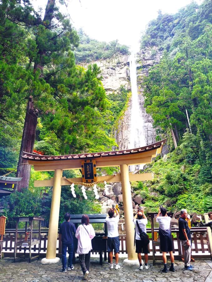 Wakayama: Kumano Nachi Taisha, Seiganto-ji & Waterfall Tour - Practical Details and What You Should Know