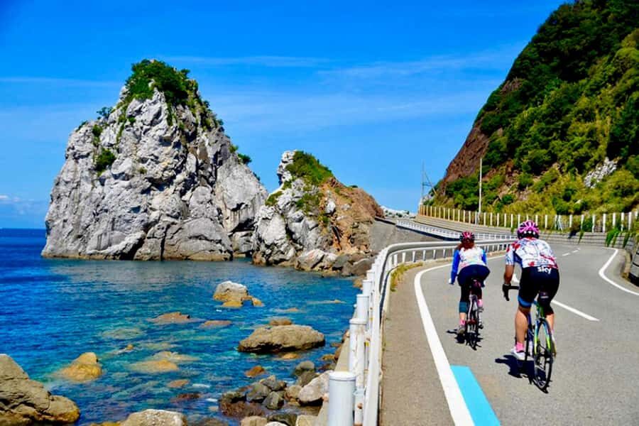 Wakayama: Mt. Koya, Kumano Kodo & Nachi Falls Private Tour - An In-Depth Look at the Wakayama Private Tour