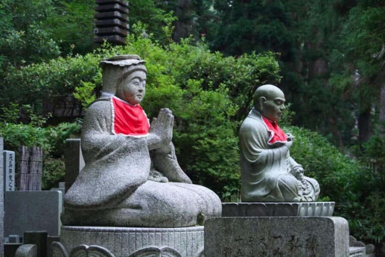 Wakayama: Private Hidden Trails & Nachi Falls Day Tour - The Experience in Detail