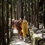 Wakayama: Private Tour to Nachi Falls & Mount Koya - Exploring Wakayama Castle