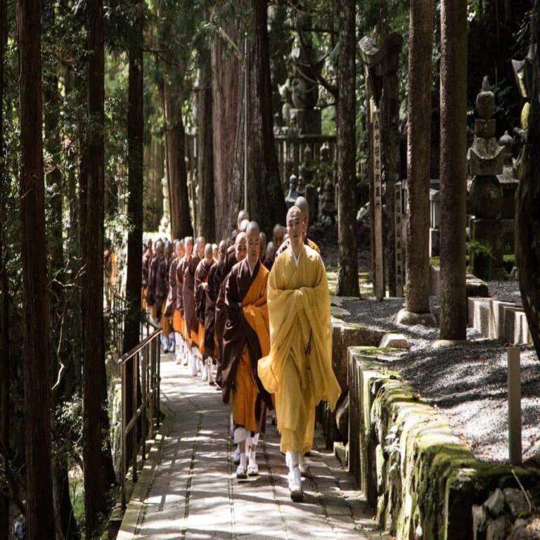 Wakayama: Private Tour to Nachi Falls & Mount Koya - Exploring Wakayama Castle