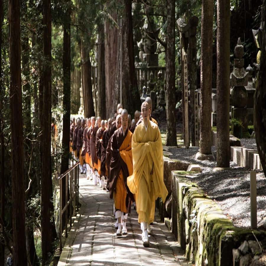 Wakayama: Private Tour to Nachi Falls & Mount Koya - Exploring Wakayama Castle