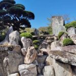 Wakayama: Sacred Serenity of Kokawa-dera Temple Tour - Good To Know
