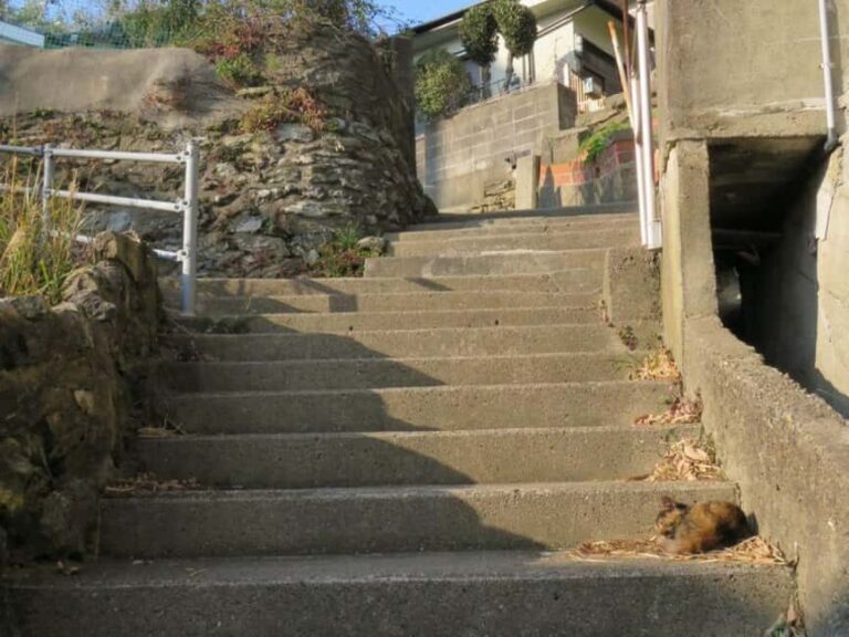 Wakayama: Saikazaki, Fishing Town Walking Tour - The Itinerary Breakdown: What You Can Expect